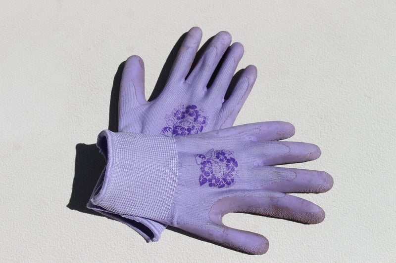 Enchanted Garden Gloves